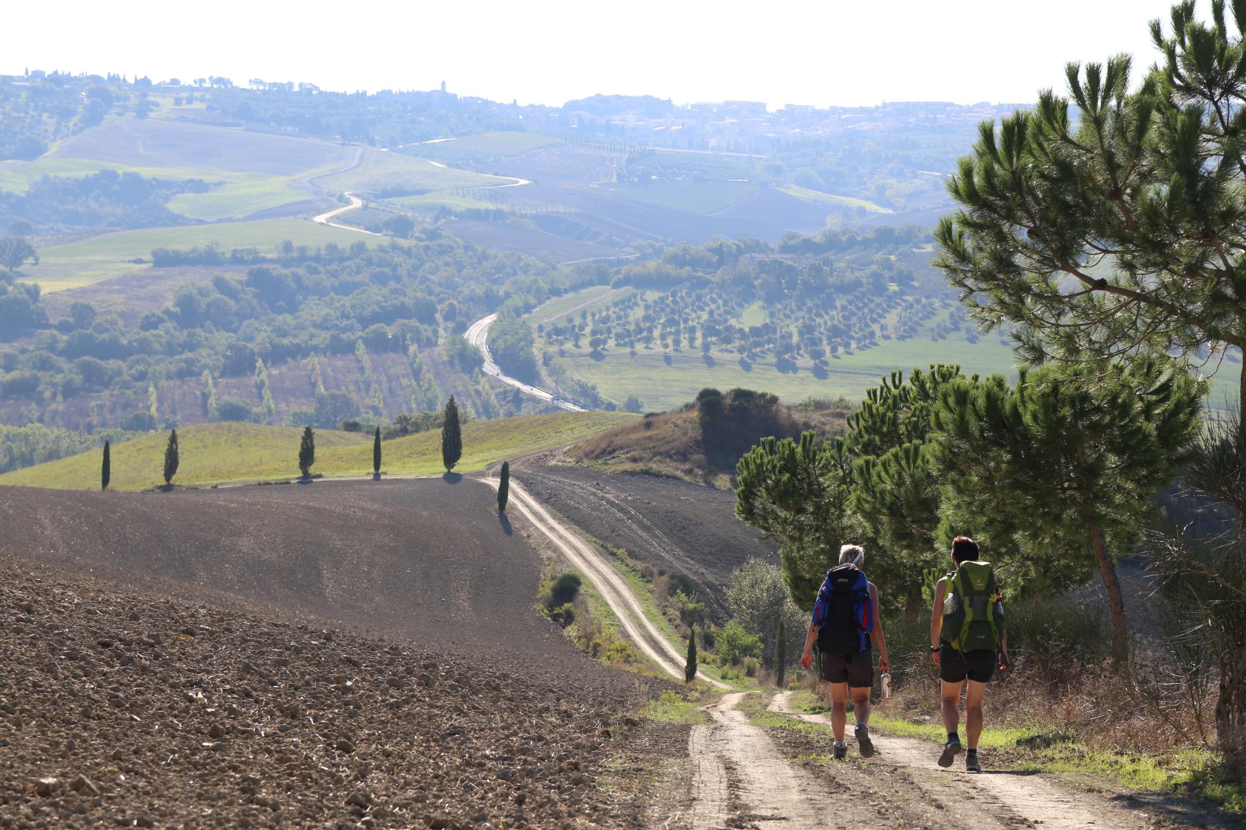 zwei Menschen wandern entlang eines Weges durch eine Landschaft