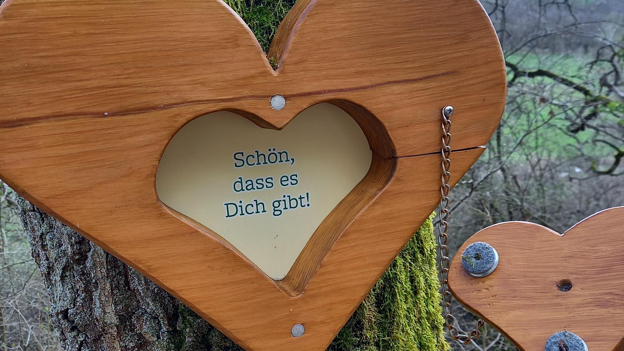 Ein Herz mit Inschrift an einem Baum