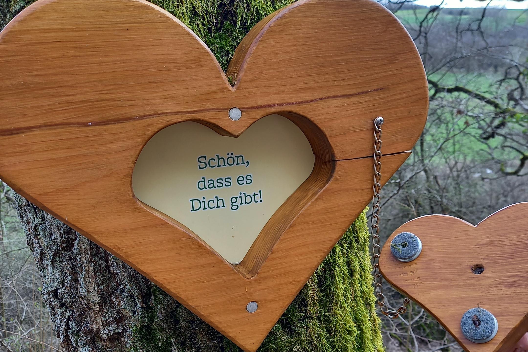 Ein Herz mit Inschrift an einem Baum