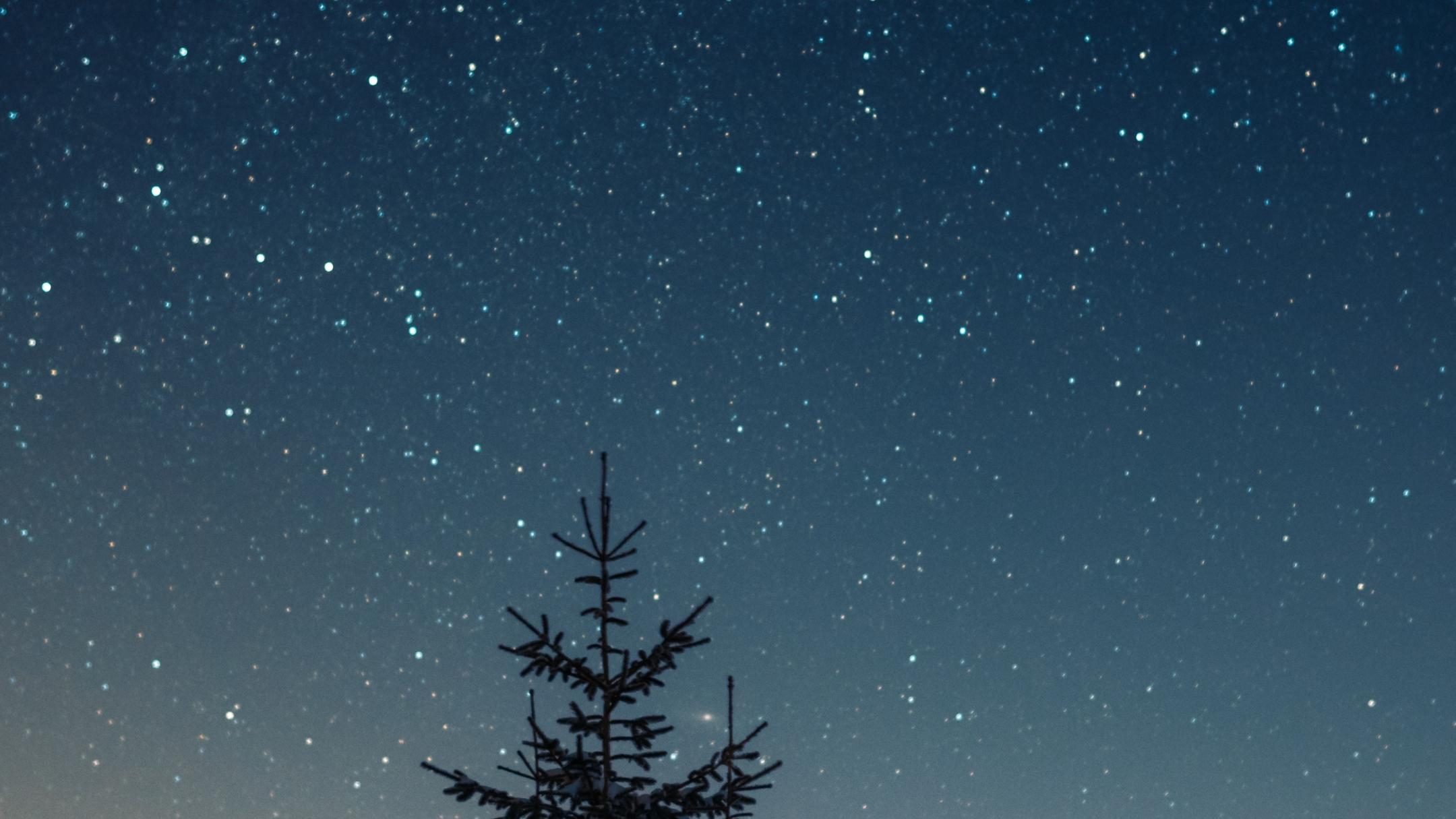 in Winterlandschaft einer dunkler Sternenhimmel